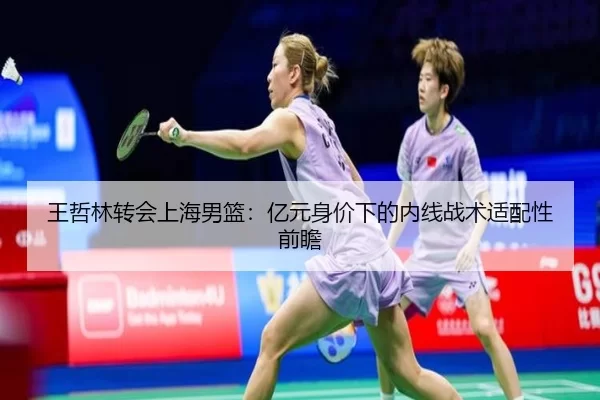 王哲林转会上海男篮：亿元身价下的内线战术适配性前瞻
